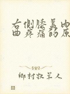 右侧膝盖内侧弯曲疼痛的原因