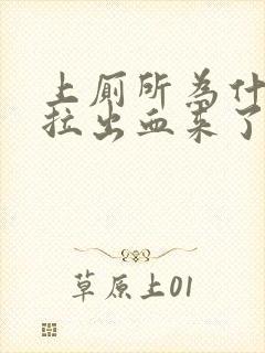 上厕所为什么会拉出血来了但是不疼