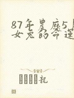 87年农历5月女兔的命运封面
