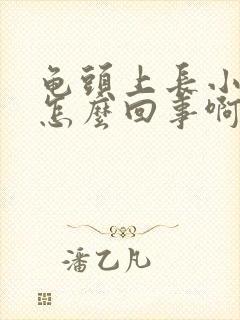 龟头上长小水泡怎么回事啊