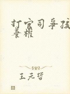 打官司争孩子抚养权