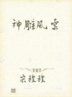 神雕风云