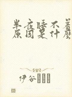 半夜睡不着觉的原因是什么