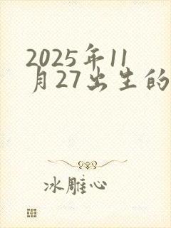 2025年11月27出生的男孩子命运