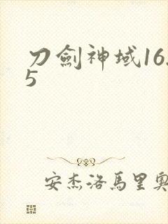 刀剑神域16.5