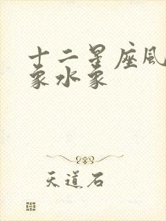 十二星座风象土象水象