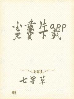 小黄片app 免费下载封面