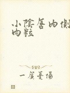 小阴唇内侧长小肉粒封面