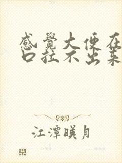 感觉大便在肛门口拉不出来是什么原因