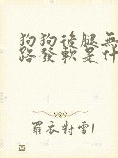 狗狗后腿无力走路发软是什么原因