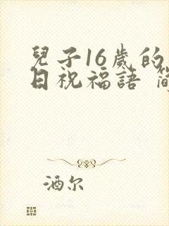 儿子16岁的生日祝福语 简短独特