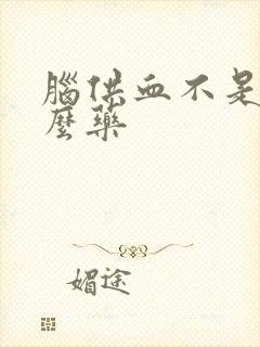 脑供血不是吃什么药封面