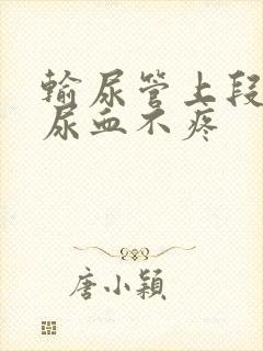 输尿管上段结石尿血不疼