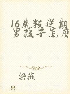 16岁叛逆期的男孩子怎么去引导