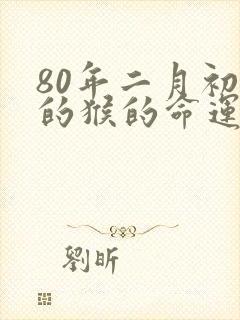 80年二月初二的猴的命运如何