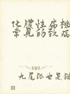 化脓性扁桃体炎常见的致病菌