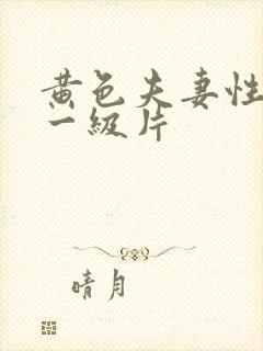 黄色夫妻性生活一级片