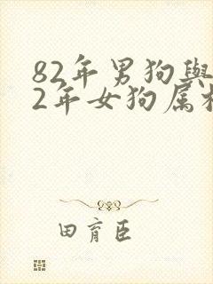 82年男狗与82年女狗属相婚配
