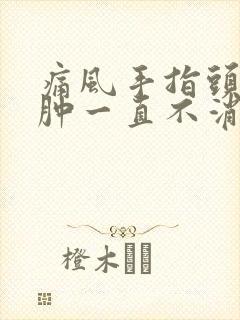 痛风手指头关节肿一直不消怎么办封面