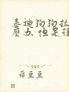 泰迪狗狗拉稀怎么办 但是很活泼