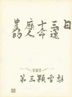 农历十三日出生的人命运