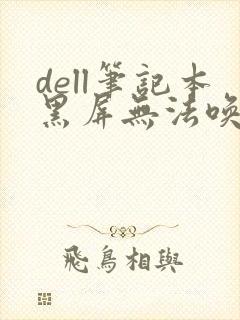 dell笔记本黑屏无法唤醒