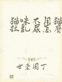 猫咪不用猫砂乱拉乱尿怎么办