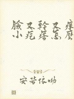 脸又干又痒还有小疙瘩怎么回事封面