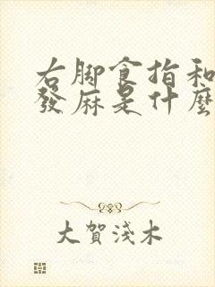 右脚食指和中指发麻是什么原因封面