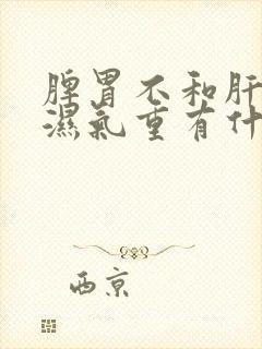 脾胃不和肝火旺湿气重有什么症状