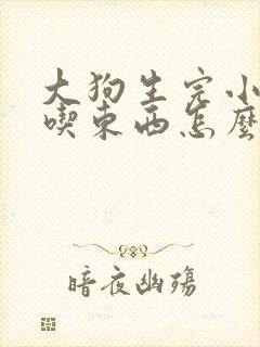 大狗生完小狗不吃东西怎么办