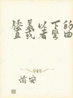 膝盖以下的筋伸直或者弯曲就疼