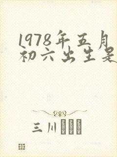 1978年五月初六出生是什么命