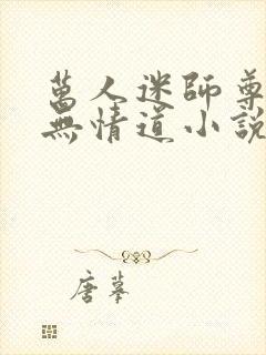 万人迷师尊他修无情道小说