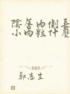 阴唇内侧长水泡小肉粒什么情况