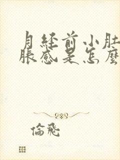 月经前小肚子坠胀感是怎么回事封面