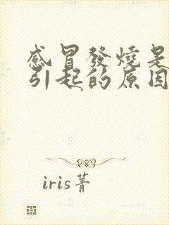 感冒发烧是什么引起的原因封面