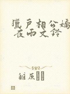 猎户相公娇宠妻 夜雨文铃封面