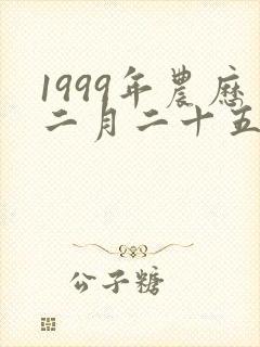 1999年农历二月二十五日出生人的命运