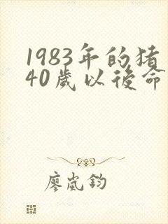 1983年的猪40岁以后命运