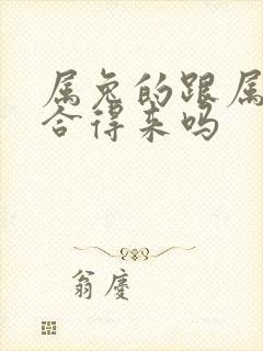 属兔的跟属龙的合得来吗