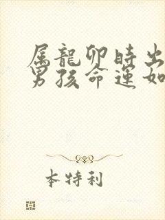 属龙卯时出生的男孩命运如何封面