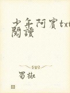 少年阿宾txt阅读
