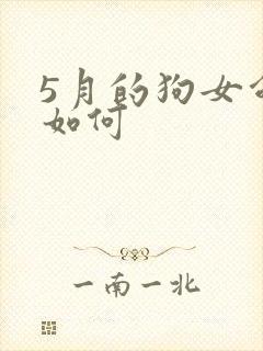 5月的狗女命运如何