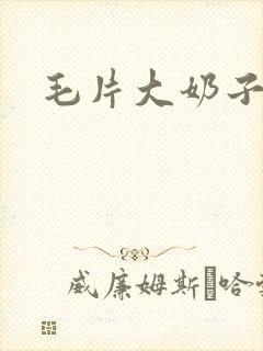 毛片大奶子