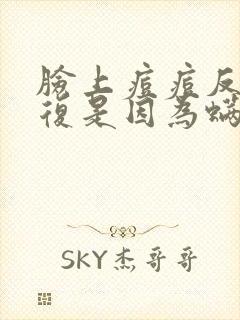 脸上痘痘反反复复是因为螨虫吗封面