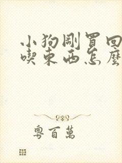 小狗刚买回来不吃东西怎么办封面