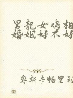 男龙女鸡相结合婚姻好不好