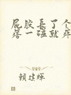 屁股长了个硬疙瘩一碰就疼