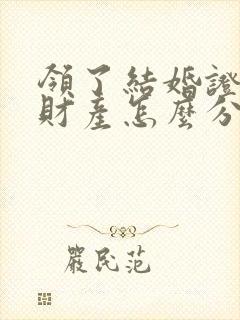 领了结婚证离婚财产怎么分